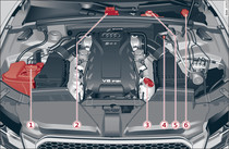 Locations of fluid containers and engine oil filler cap